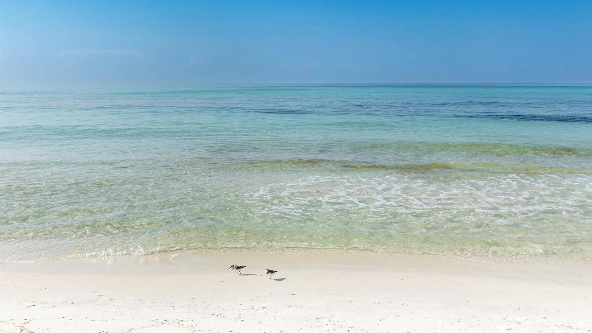 Sandpiper Cove 1034- By Holiday Isle Properties Destin 0*,  United States