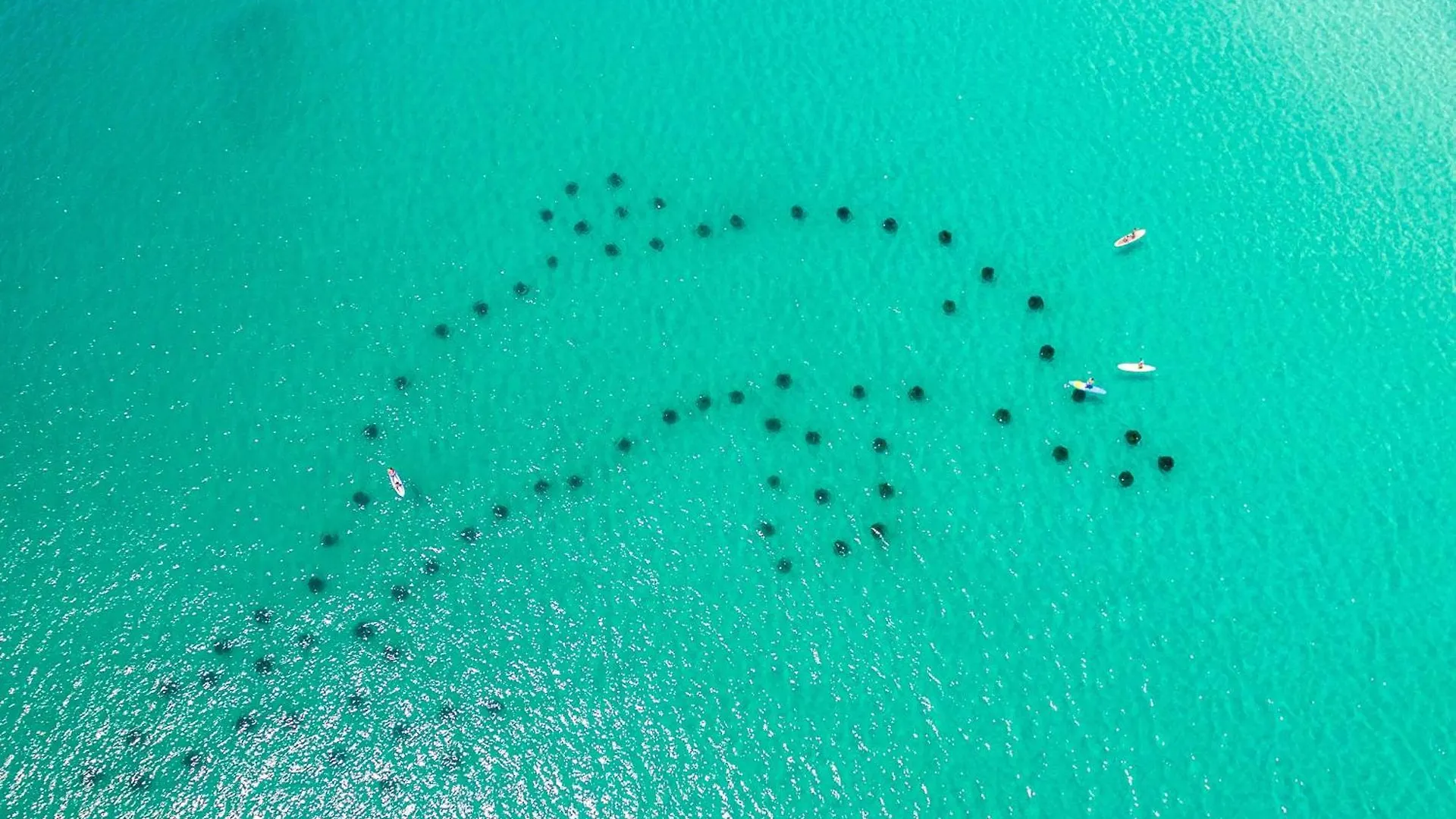 Sandpiper Cove 1034- By Holiday Isle Properties Destin 0*,  United States